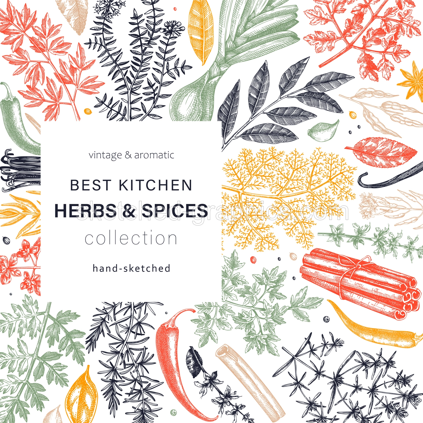 Herbs And Spices Frame Illustration